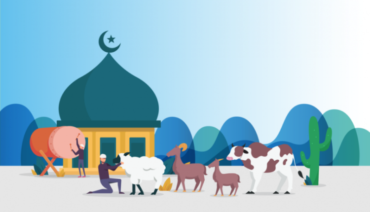 Ilustrasi Idul Adha.